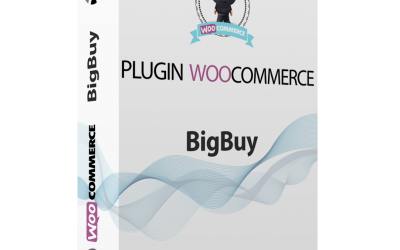 ¿Cómo importar el catálogo de BigBuy en WooCommerce?